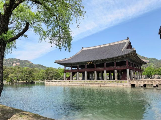 Timeless Majesty: Exploring Gyeongbokgung Palace