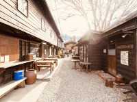 Review of Tokoname City, Aichi Prefecture: A Charming Pottery Town with Seaside Serenity