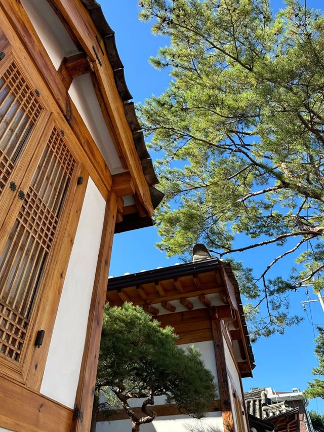 A Window to Joseon: The Charm of Bukchon Hanok