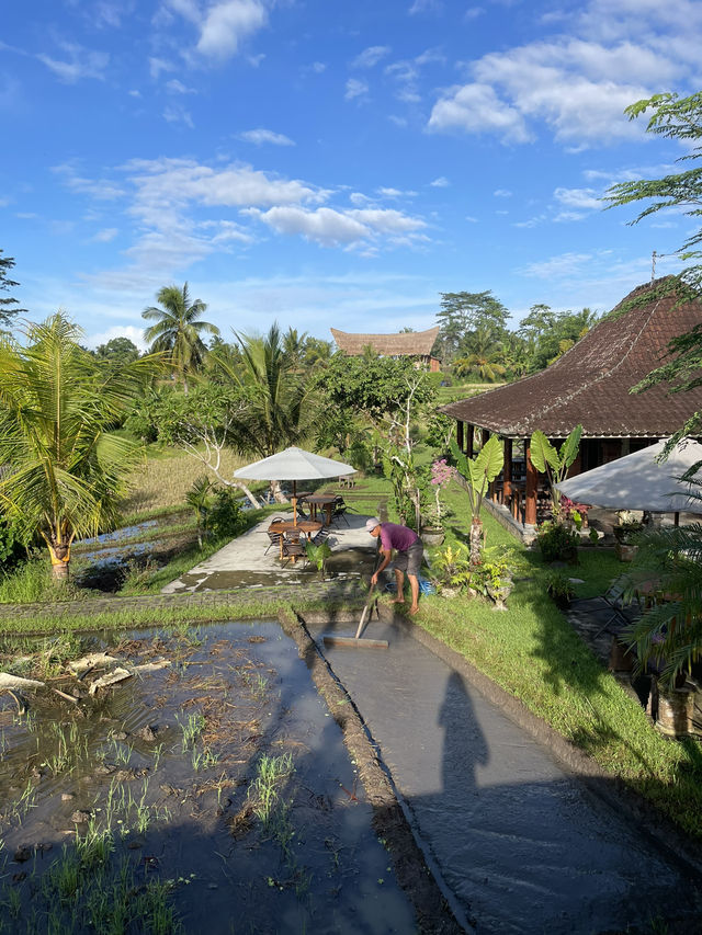🇮🇩 Campuhan Ridge Walk
