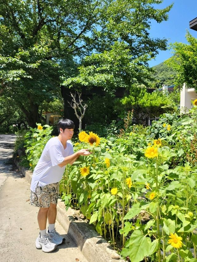 시원한 초록뷰 보며 먹는 하동 소바맛집