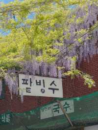 부산 속 치앙마이🌿
