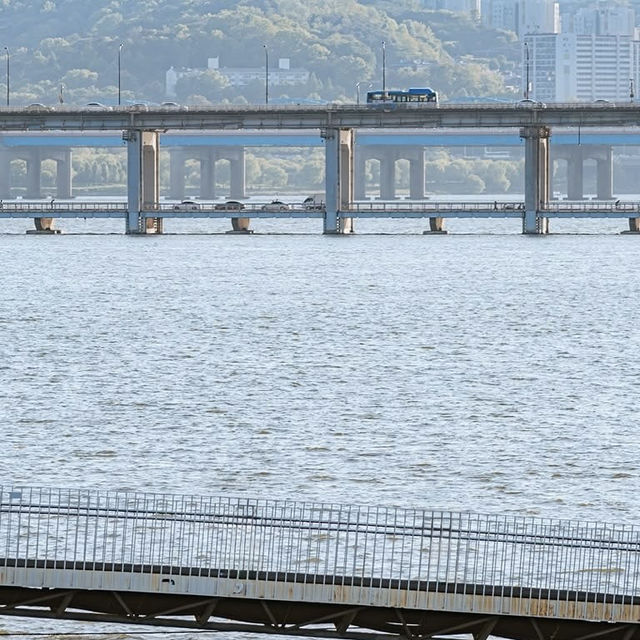 Chill Like a Local: Banpo & Jamwon Hangang River Vibes for Solo Travelers** 🌊🚴♀️