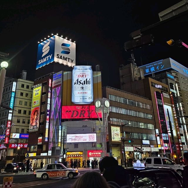 Sapporo in a Day: Culture, Cuisine & City Highlights