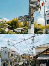 4個京都⛩️🇯🇵小眾寺廟漫遊路線 🌿