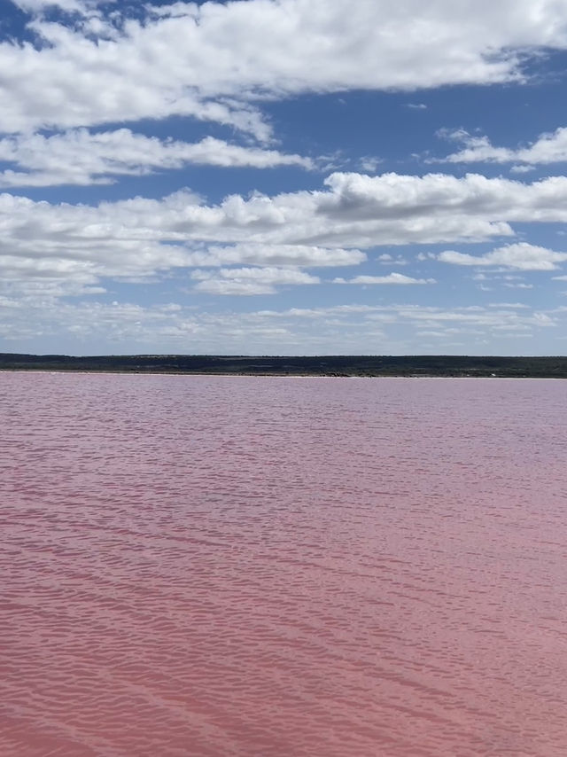 💗 Yes, the Lake Is Actually Pink — Western Australia’s Real-Life Barbiecore Dream 🌸🫧