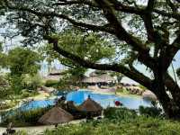 Shangri-La Rasa Sayang, Penang: My Perfect Escape! 🌴💚