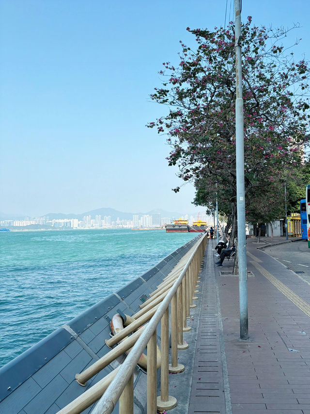 เดินเล่นชิลล์ริมทะเลที่ Kennedy Town