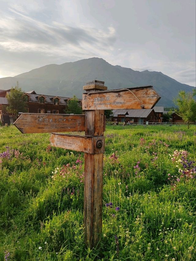 As the Sun Sets, Reluctantly Leaving This Enchanting Place