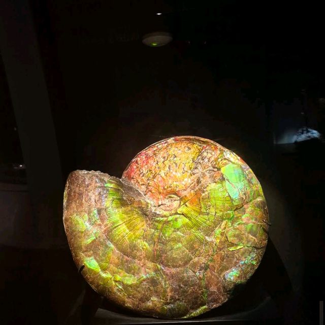 Perot Museum of Nature and Science – Dallas