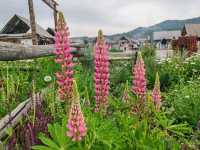 Hemu: A Postcard-Perfect Paradise Beyond Just Good Food