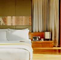 Organic Elegance and Urban Stillness