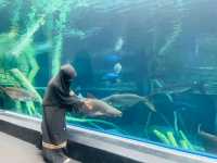 Aquaria Phuket พิพิธภัณฑ์สัตว์น้ำที่ใหญ่ที่สุด