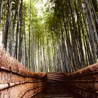 Adashino Nenbutsuji: Kyoto’s Most Hauntingly Beautiful Temple – A Solo Traveler’s Pilgrimage"** 🕯️🌿