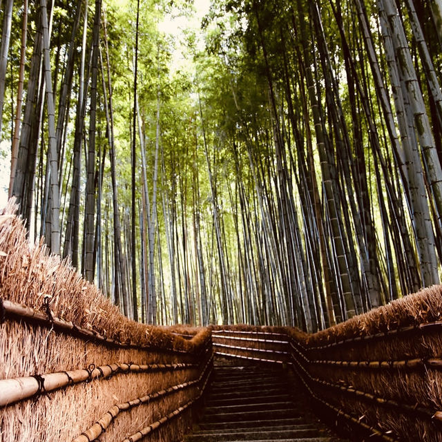 Adashino Nenbutsuji: Kyoto’s Most Hauntingly Beautiful Temple – A Solo Traveler’s Pilgrimage"** 🕯️🌿