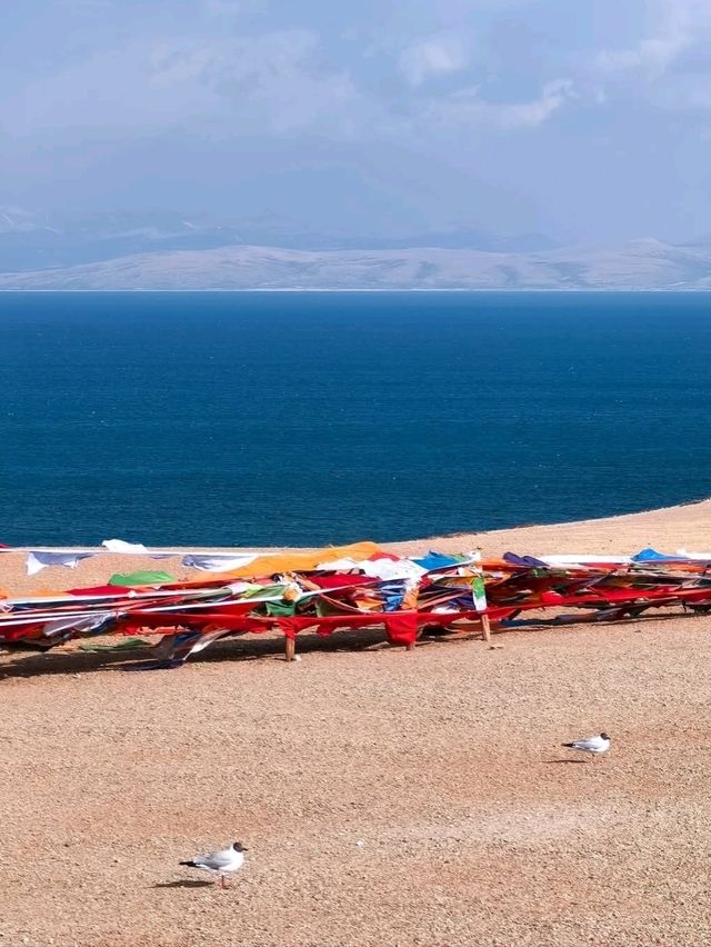 Sacred Views at Manasarovar Lake,
