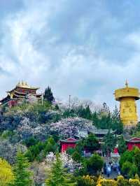 Breathtaking Bliss in Diqing