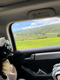 Yuzi West Grassland