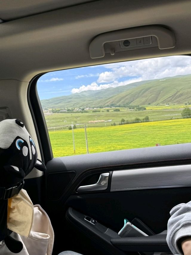 Yuzi West Grassland
