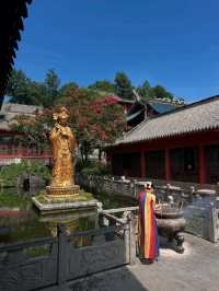 Guiyang City Walks Hit Different in the Best Way