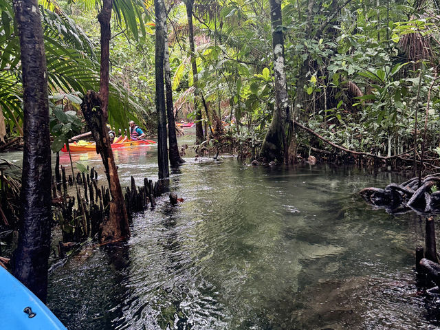 ตามรอย Jurassic 🌍 @คลองน้ำใส กระบี่