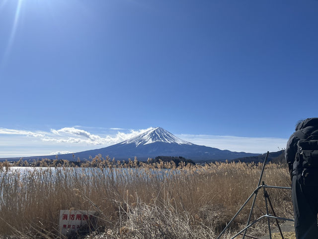 富士山大石公園