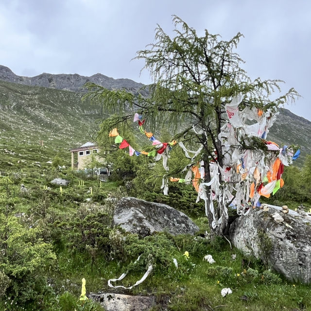 🌿 Wandering Through the Soul of Western Sichuan — 康定风景区