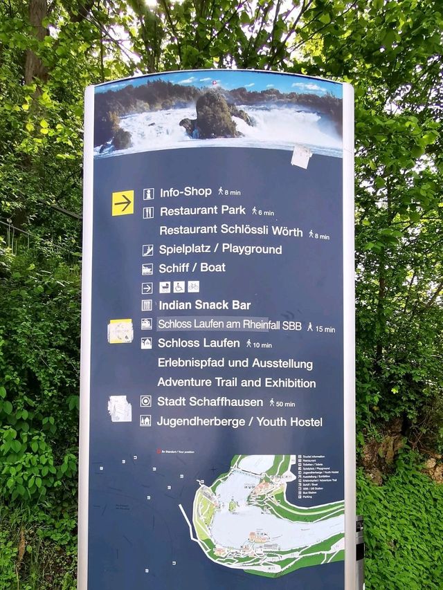 🌊Unleashed at Rhine Falls