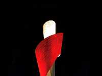 ✨ Night lights at Beijing's Olympic Park – A surreal glow you won't forget