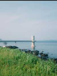 【玄海海中展望塔】海の中を歩くような、不思議で癒しの体験🐠🌊