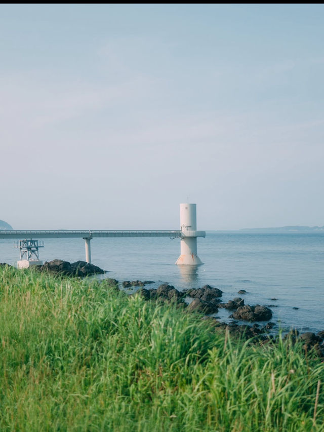 【玄海海中展望塔】海の中を歩くような、不思議で癒しの体験🐠🌊