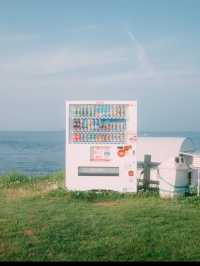 【玄海海中展望塔】海の中を歩くような、不思議で癒しの体験🐠🌊