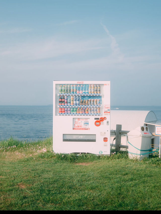 【玄海海中展望塔】海の中を歩くような、不思議で癒しの体験🐠🌊