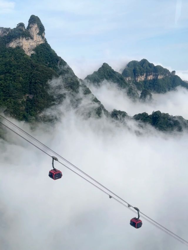 Conquer the Sky Gate: Your Guide to Tianmen Cave