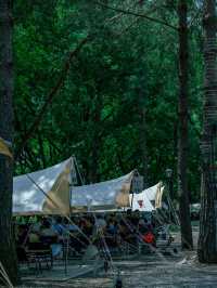 🌿 Wenzhou’s Secret “Mini Altay” – Nanxi River Camping & BBQ Getaway!