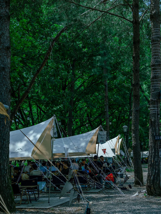 🌿 Wenzhou’s Secret “Mini Altay” – Nanxi River Camping & BBQ Getaway!