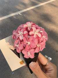 Ice Cream in Beijing 🌸🍦✨