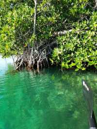 Nature Breezes at Laguna Nichupté