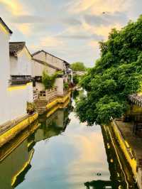 A Living Chronicle of Jiangnan Water Town Charm