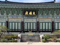 大邱🇰🇷｜大邱秘境古剎！符仁寺千年歷史與神秘四頭烏龜你看過嗎？🐢✨