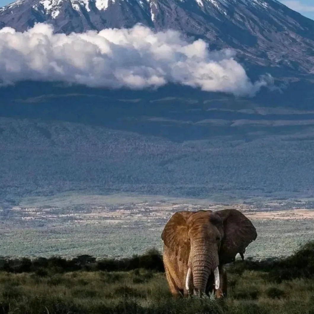Kilimanjaro mengajariku: Jalan yang paling sulit akan membawamu ke pemandangan yang paling luas.