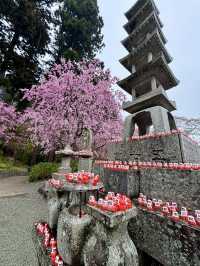 【大阪】勝尾寺