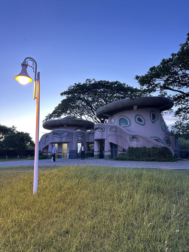 台南都會公園-奇美博物館外慢遊