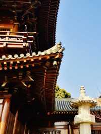 A Photographer's Paradise of Traditional Architecture