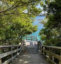 大房岬海岸園地—全景視野