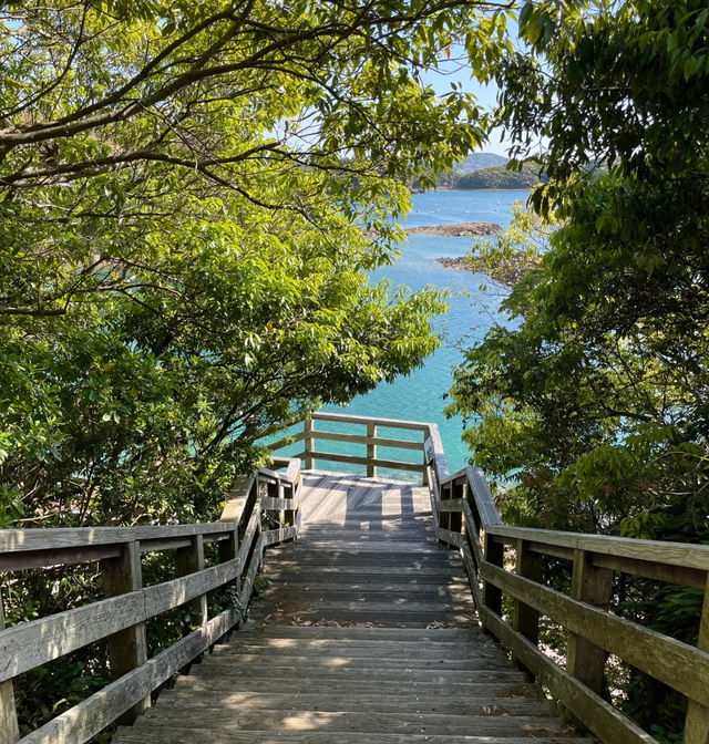 大房岬海岸園地—全景視野