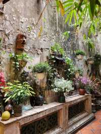 Timeline Coffee and Restaurant Hanoi – Where Flavor Meets Charm