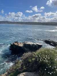 聖地牙哥 La Jolla 拉荷亞海灣 與海獅海豹一起賞日出