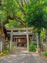 【愛知】期間限定！名古屋の真ん中で出会える“涼やかな絶景”✨🎐