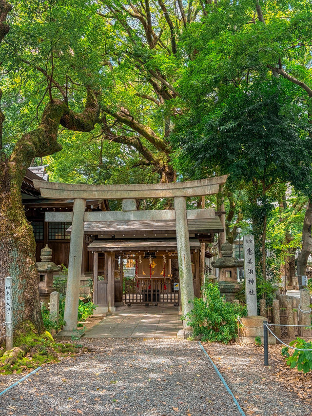 【愛知】期間限定！名古屋の真ん中で出会える“涼やかな絶景”✨🎐